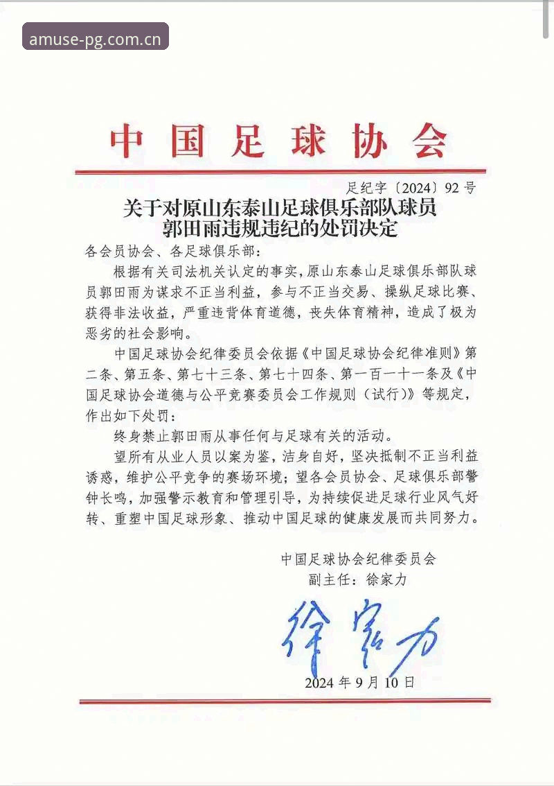 资深球迷分享:从足协禁足名单看中国足球反腐的实战经验